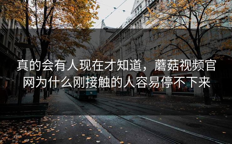 真的会有人现在才知道，蘑菇视频官网为什么刚接触的人容易停不下来